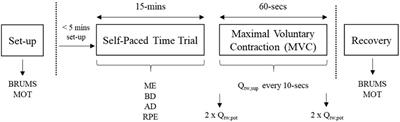 Self-Selected Motivational Music Enhances Physical Performance in Normoxia and Hypoxia in Young Healthy Males